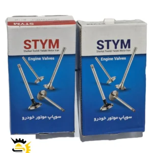 سوپاپ ریو